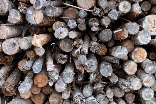 Wood Logs detail photo