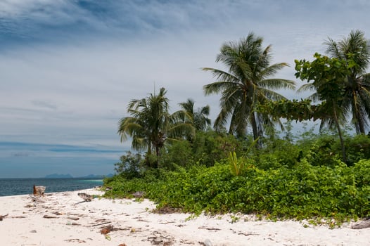 White Sand Beach in Turquoise Tropical Polynesian Paradise Palm photo
