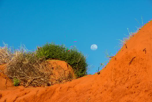 australia red soil detail close up photo