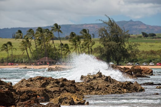 pacific ocean waves on the shore photo
