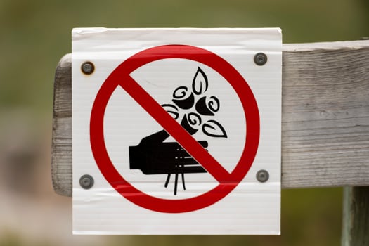 taking flowers forbidden sign photo
