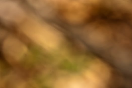 natural abstract soft background photo