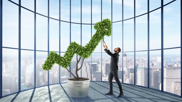 Businessman cares for a big plant shaped as an arrow photo