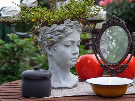 summer time in the garden photo