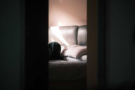 Pink cowhide bedside in sunlight photo