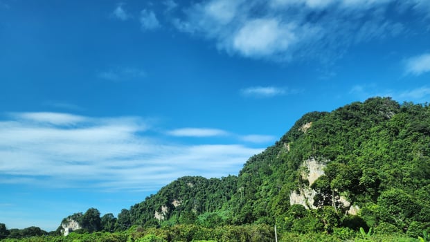 Grassy Mountain Hill Forest Landscape Scenery View photo