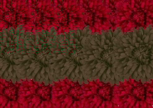 spring flower background photo