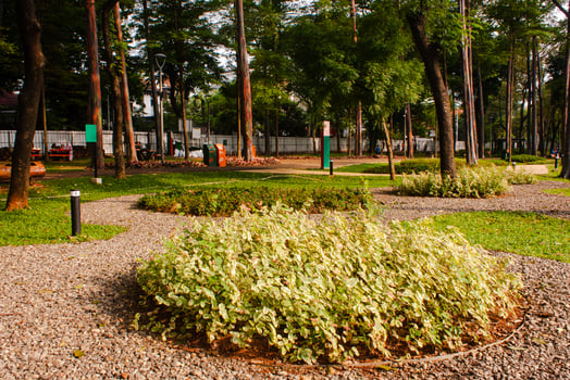 Scenic View of a Garden landscape with amazing plants and flowers. landscapes in the public park under a cloudy sky photo