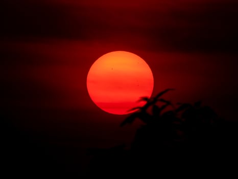 Sun close up view and sunspots. Solar astrophotography photo