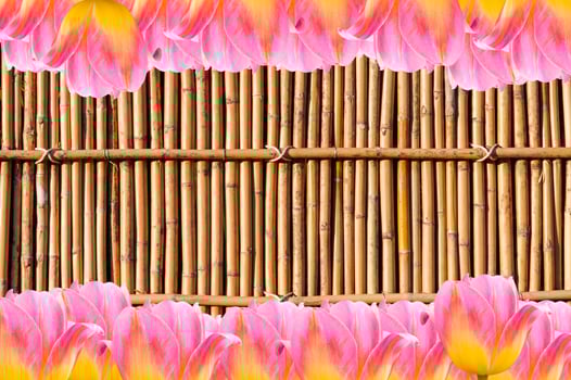 Pink Tulips, frame  Fresh spring tulips flowers with space for text  on bamboo background photo