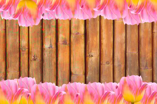 Pink Tulips, frame  Fresh spring tulips flowers with space for text  on bamboo background photo