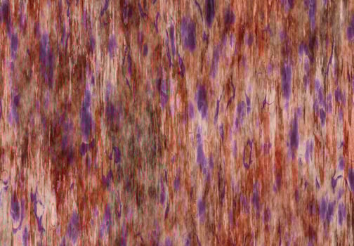 Abstract modern painting. Digital modern background. colorful texture. Digital background illustration. Textured background photo