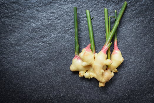 Ginger black background - Fresh young ginger for herb medicinal natural and food photo