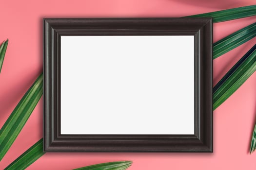 wood frame and green leaf on pink pastel color background. tropical background. photo