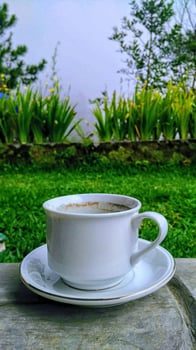 A cup of coffee in the morning photo