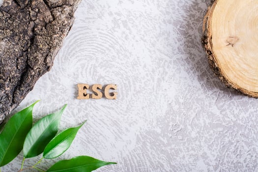 ESG environmental, social and governance concept. Letters, bark and leaves on a gray background photo