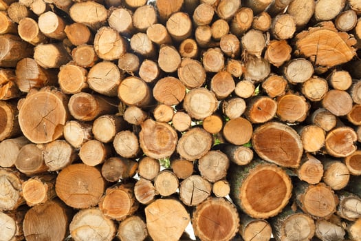Pile of wood logs storage for industry photo
