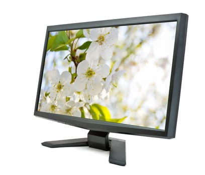 Monitor and cherry flowers. photo