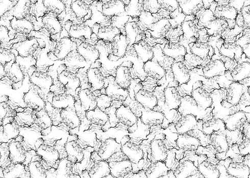black-white grunge pattern crackles texture Abstract background photo