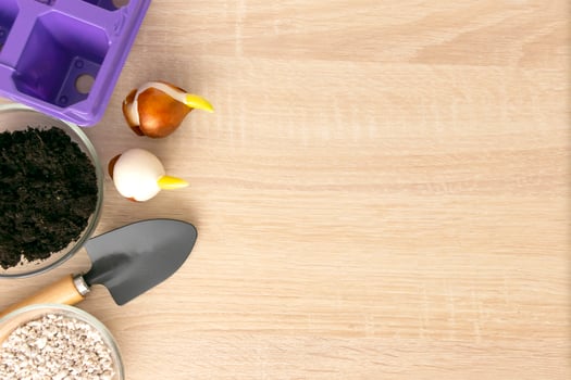 Gardening tools and flowers pots on wooden table. Flat lay gardening or planting concept. photo