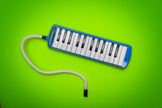 Wind instrument with keyboard la melodica photo