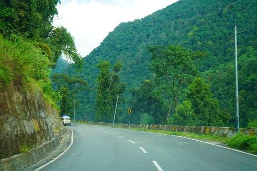 Himalayan Roadways of North Bengal with Green Nature 8 photo