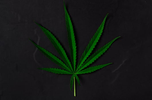 Cannabis leaf on black stone background, photo