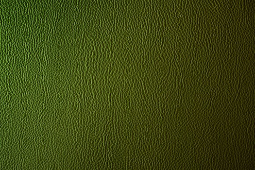 large texture leather, background free space photo