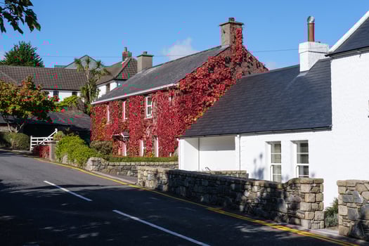 Houses in Crawfordsburn, Northern Ireland, UK photo