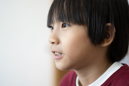Close up portrait of Asian boy concept with copy space and selective focus. photo