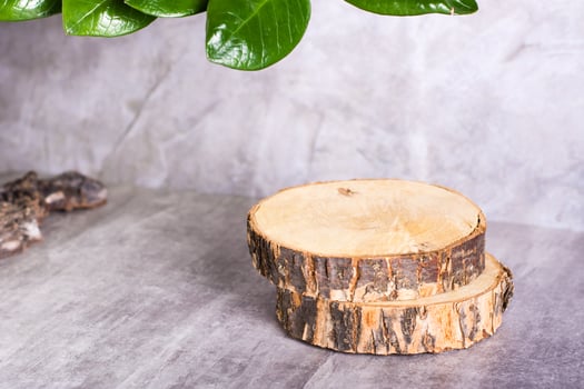 Natural mock-up with a podium of two tree slices on a gray background with green leaves photo