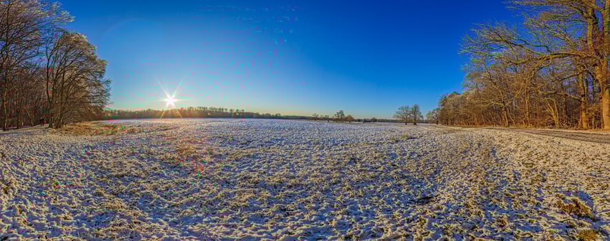 Panoramic image over snowy meadow with trees photo
