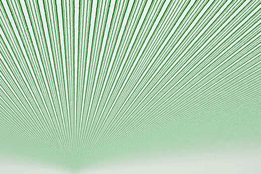 3D render illustration with green and white texture background. photo