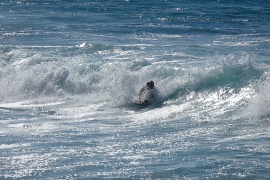 young athletes practising the water sport of surfing photo