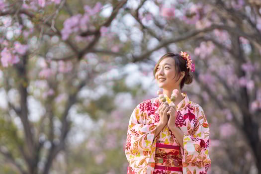 Japanese woman in traditional kimono dress holding sweet hanami dango dessert while walking in the park at cherry blossom tree during spring sakura festival with copy space photo