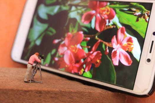 a miniature figure of a videographer filming flowers on a cell phone. photo