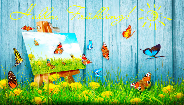 Flowers and herbs with word spring. Creative floral composition. photo