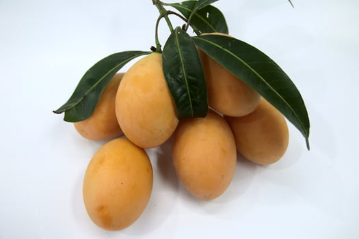 Sweet Marian plum Thai fruit isolated on white background photo