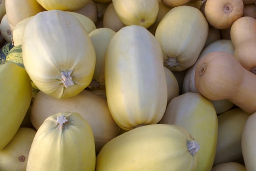 squash at the market spaghetti variety organic thanksgiving photo