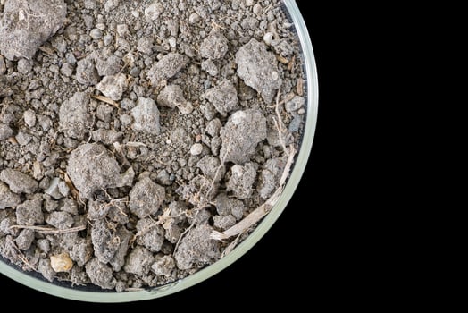 Dry soil in petri dish isolated on black background photo