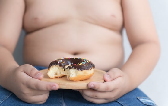 donut in hand obese fat boy. photo