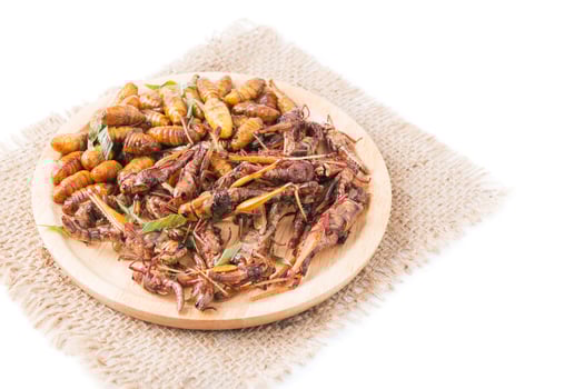 fried grasshoppers and Silkworm pupa photo