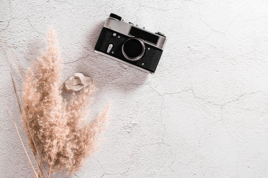 Flat lay concept travel. Vintage camera, stone and grass on a textured concrete background. photo