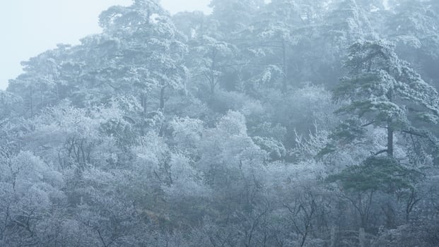 The beautiful frozen mountains view coverd by the white snow and ice in winter photo