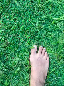 human feet isolated with green grass photo