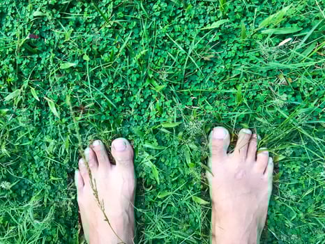 human feet isolated with green grass photo