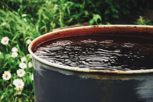 Water barrel for the garden, collecting rainwater photo