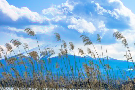 Mount Fuji,Grass field with large clouds covering the top of the mountain.Landscape View With Water At Kawaguchiko Lake, Japan photo