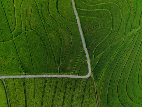 Aerial view of green rice terraces in Indonesia photo