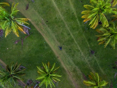 Aerial view of green rice terraces in Indonesia photo